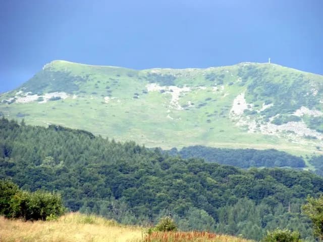 Tarnica gdzie nocleg - najlepsze opcje, które nie zrujnują budżetu Tarnica gdzie nocleg - najlepsze opcje, które nie zrujnują budżetu