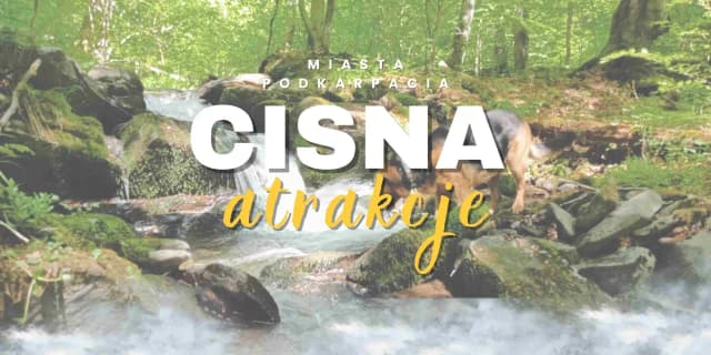 Najlepsze atrakcje w Nyíregyházie, które musisz zobaczyć podczas wizyty Najlepsze atrakcje w Nyíregyházie, które musisz zobaczyć podczas wizyty