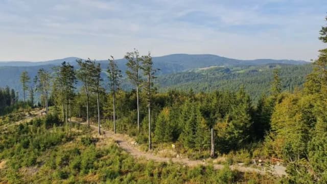 Lądek-Zdrój jakie góry? Odkryj ukryte skarby górskie w regionie Lądek-Zdrój jakie góry? Odkryj ukryte skarby górskie w regionie