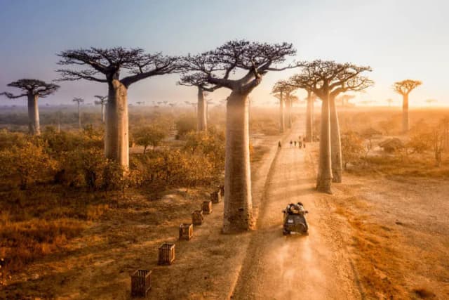 Najlepsze atrakcje na Madagaskarze, które musisz zobaczyć podczas wakacji Najlepsze atrakcje na Madagaskarze, które musisz zobaczyć podczas wakacji